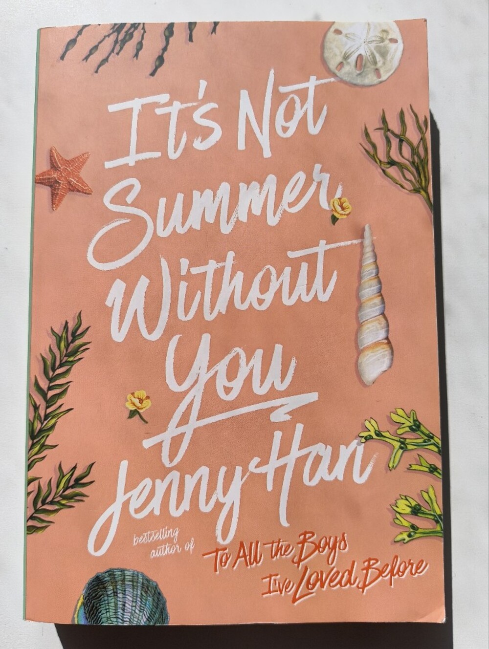 It's Not Summer Without You Jenny Han Paperback Summer I Turned Pretty Book 2
